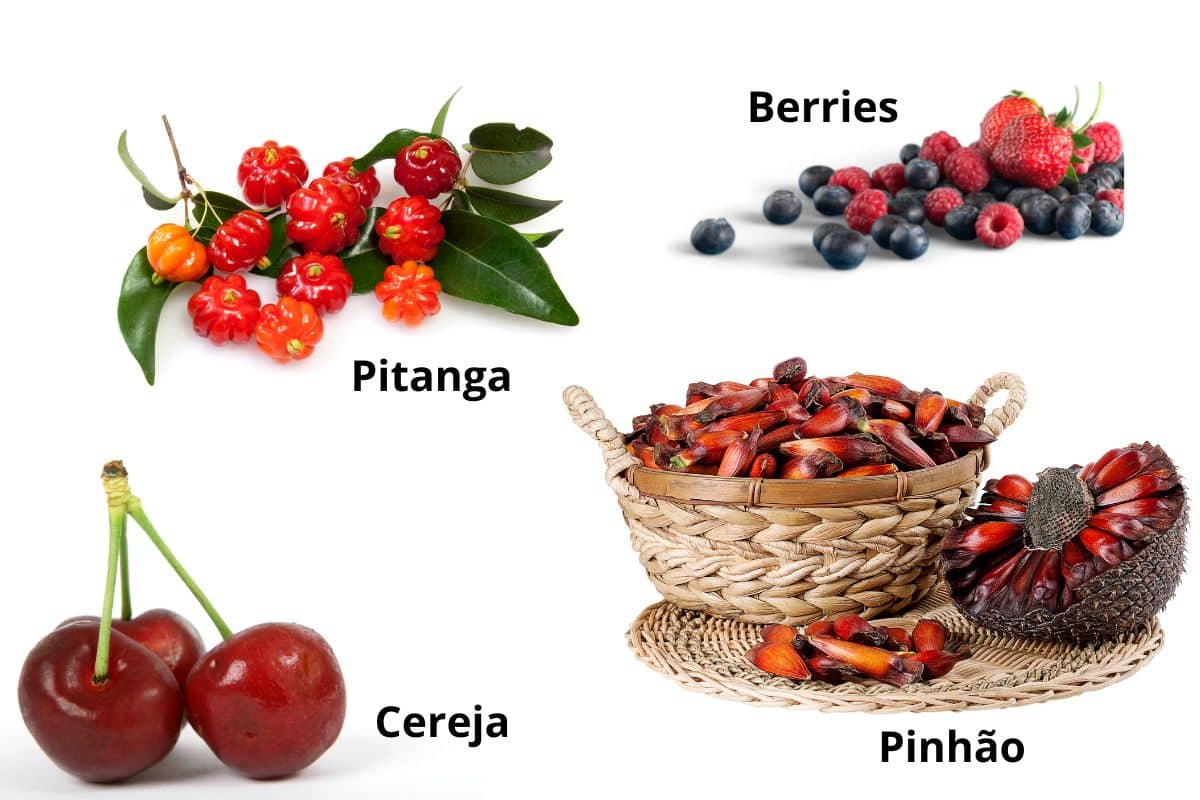 Frutas brasileiras em extinção? Veja a lista das que precisam ser salvas urgentemente 2 frutas brasileiras em extinção