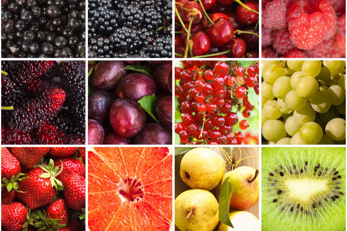 Frutas brasileiras em extinção? Veja a lista das que precisam ser salvas urgentemente 1 frutas brasileiras