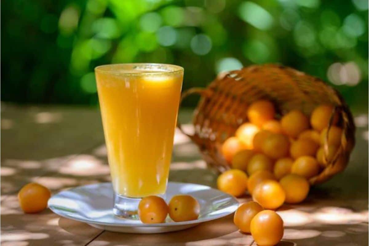 Frutas brasileiras em extinção? Veja a lista das que precisam ser salvas urgentemente 4 cajá fruta brasileira