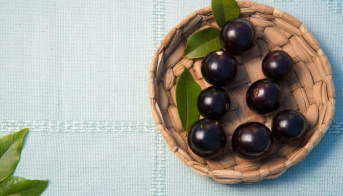Jabuticaba: tudo que você precisa saber sobre ela 2 Jabuticaba.
