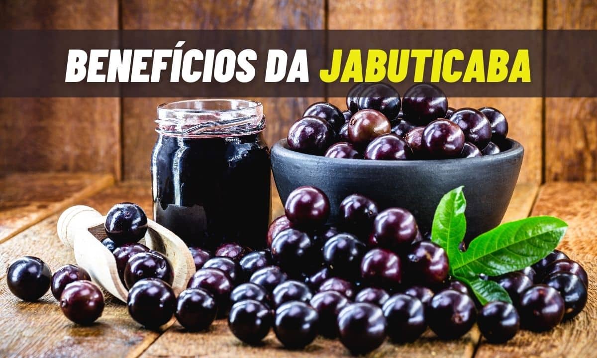 Jabuticaba: tudo que você precisa saber sobre ela 1 Jabuticaba.