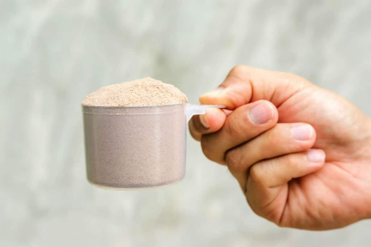 Melhores Whey Protein e Marcas para os seus treinos 1 melhores whey protein