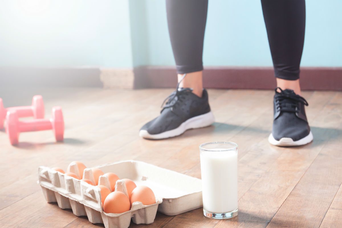 Quais os Alimentos Ricos em Proteínas? 1 alimentos ricos em proteínas