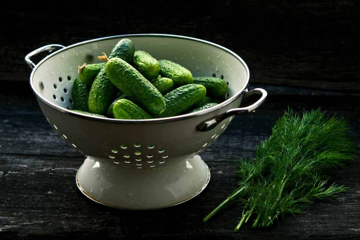 Benefícios do Pepino: conheça 30 motivos para incluir na sua dieta 1 benefícios do pepino