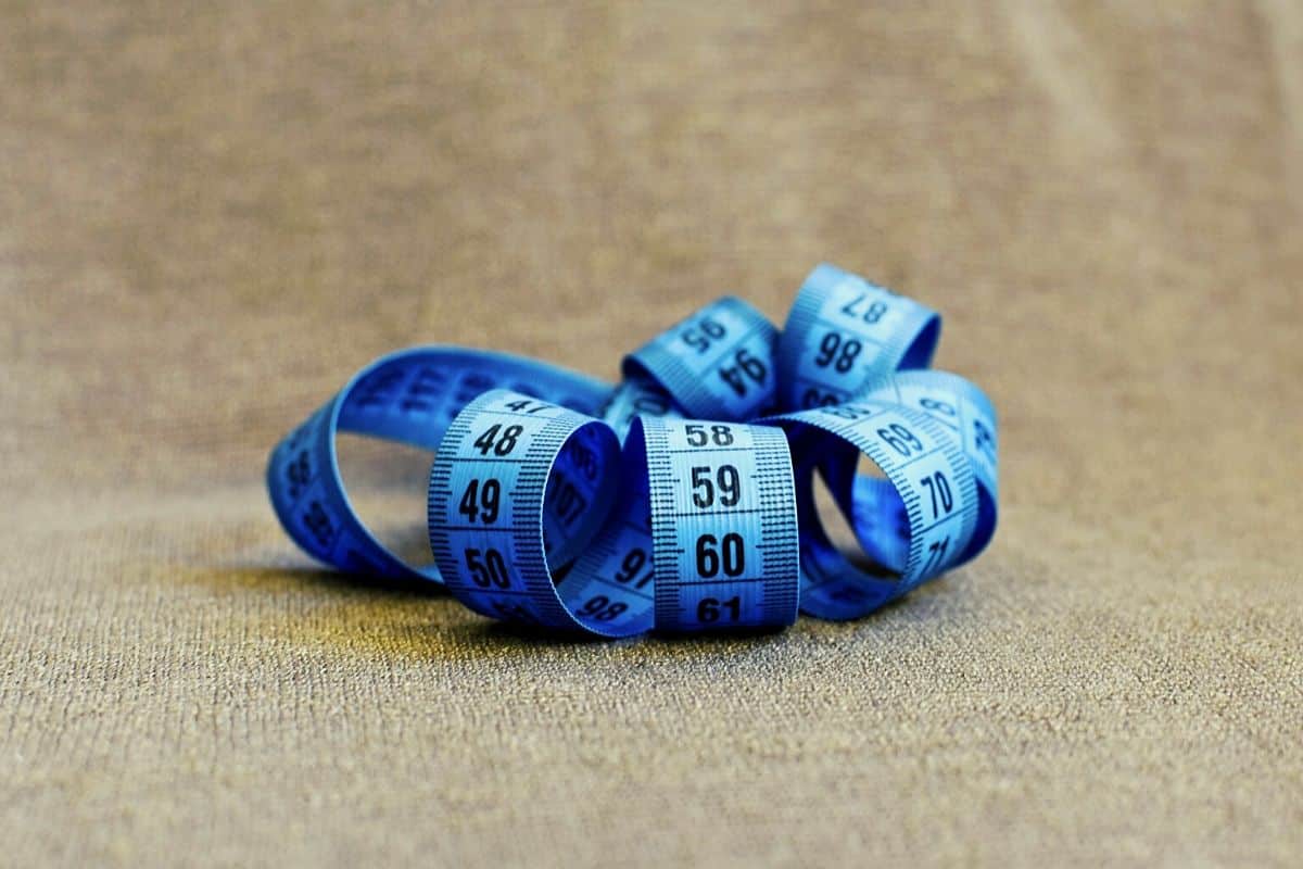 Dieta Dukan para emagrecer: conheça as fases e o cardápio completo 4 riscos da dieta dukan