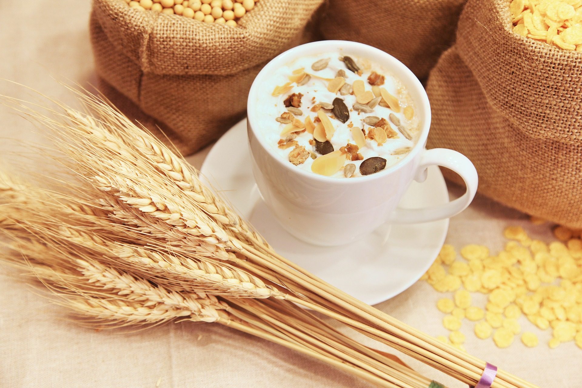 Alimentos ricos em fibras: Nutricionistas defendem as consequências deste consumo 2 alimentos ricos em fibras