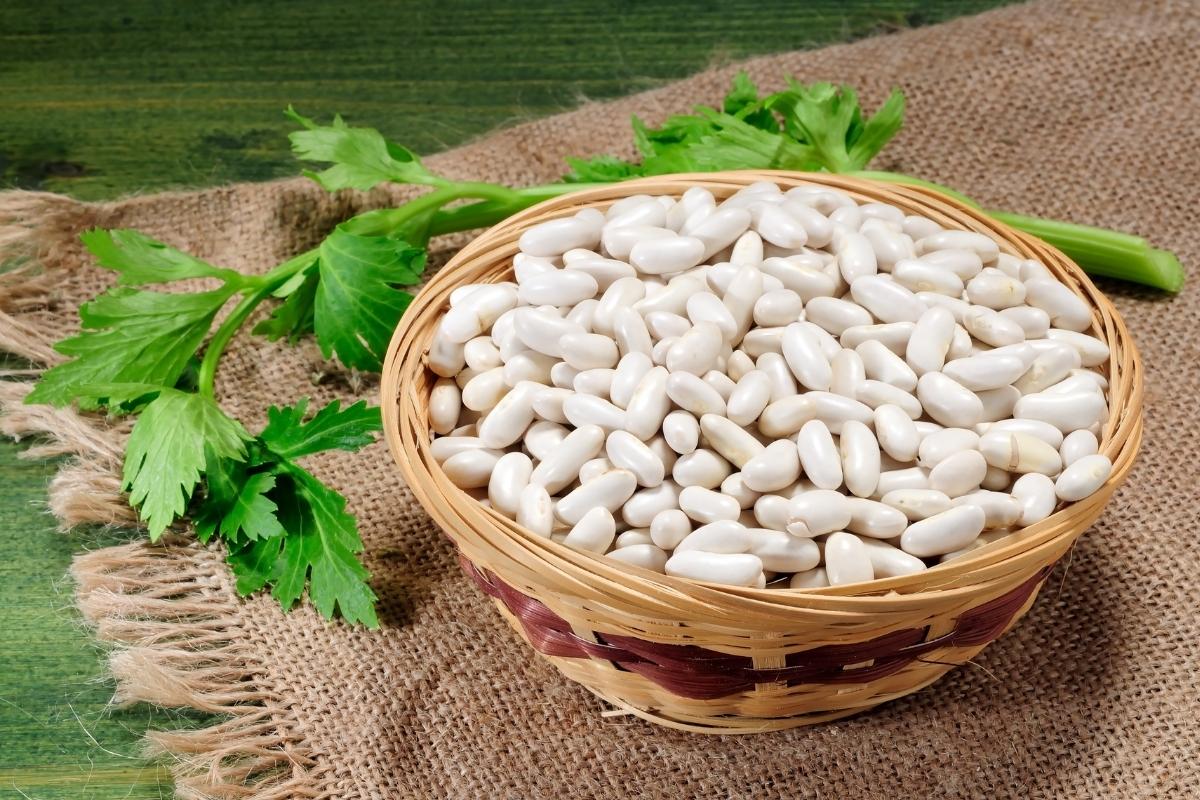 Feijão é low carb? Saiba suas calorias e qual tipo escolher com segurança 4 Feijão branco