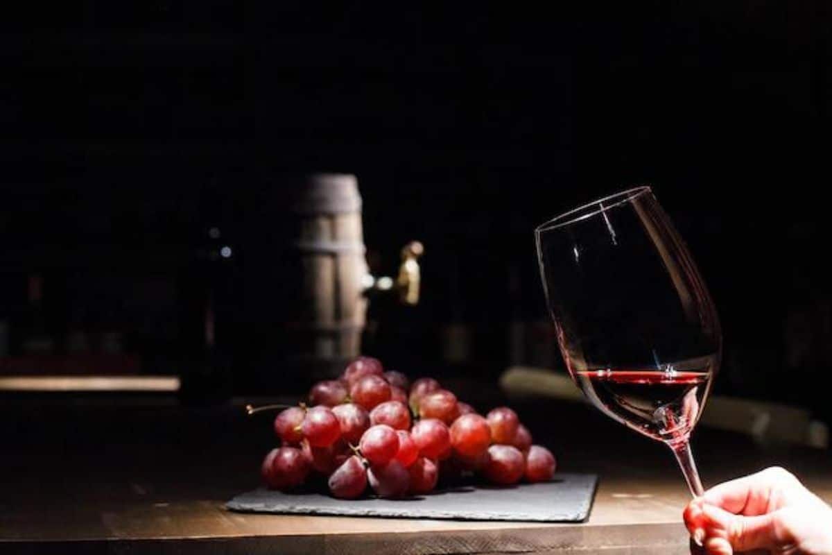 Faz bem consumir vinho todos os dias? Qual momento ideal? Faz bem consumir vinho todos os dias? Qual momento ideal?
