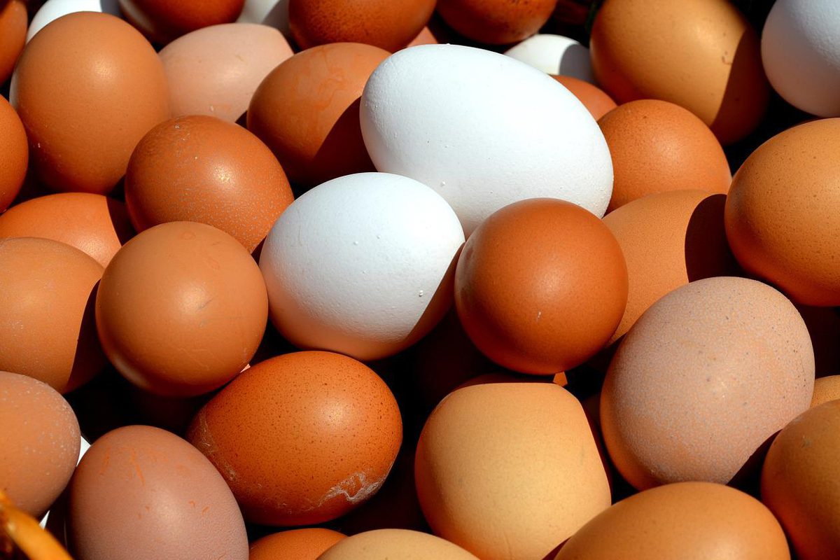 12 alimentos ricos em selênio para dar um up na sua beleza 3 12 alimentos ricos em selênio para dar um up na sua beleza