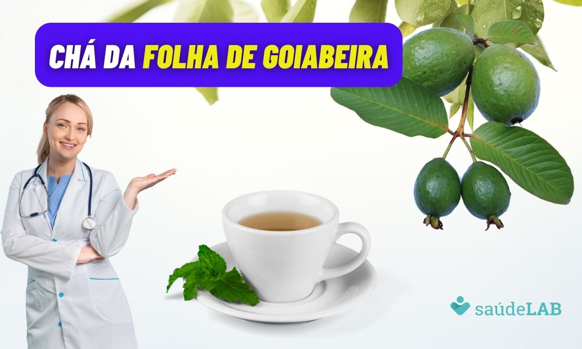 Chá da folha de goiabeira: 8 benefícios incríveis para sua saúde 1 Chá da folha de goiabeira.
