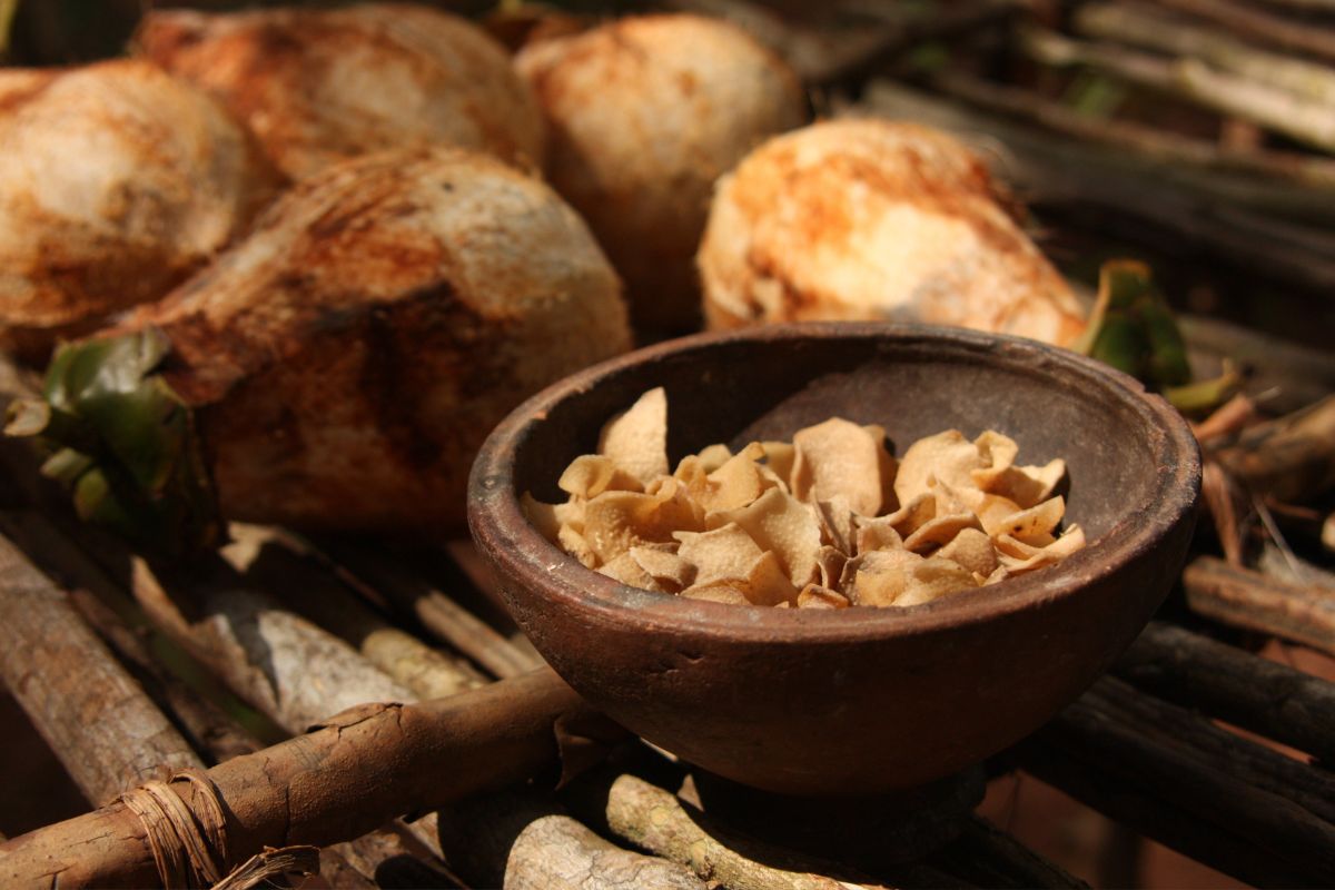 Veja como incluir os chips de coco na sua dieta. Fonte: Canva. chips de coco