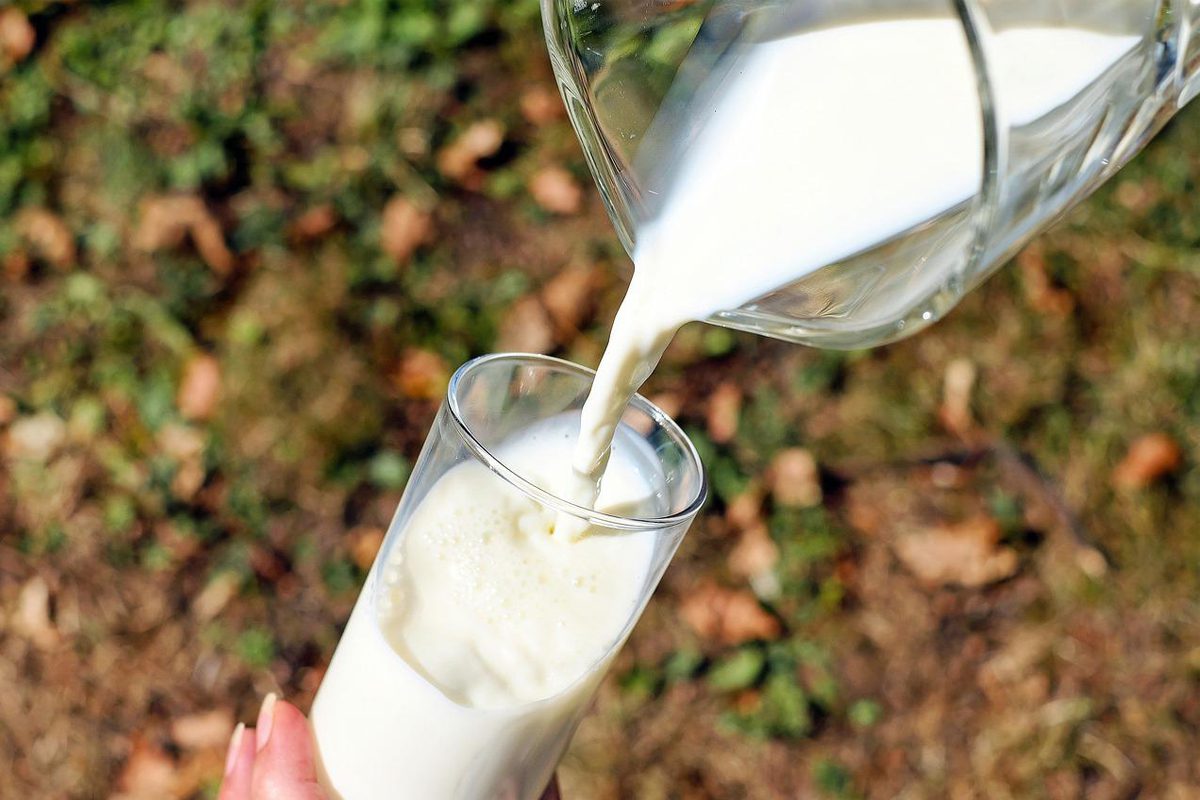 10 alimentos que ajudam a evitar as câimbras 3 10 alimentos que ajudam a evitar as câimbras
