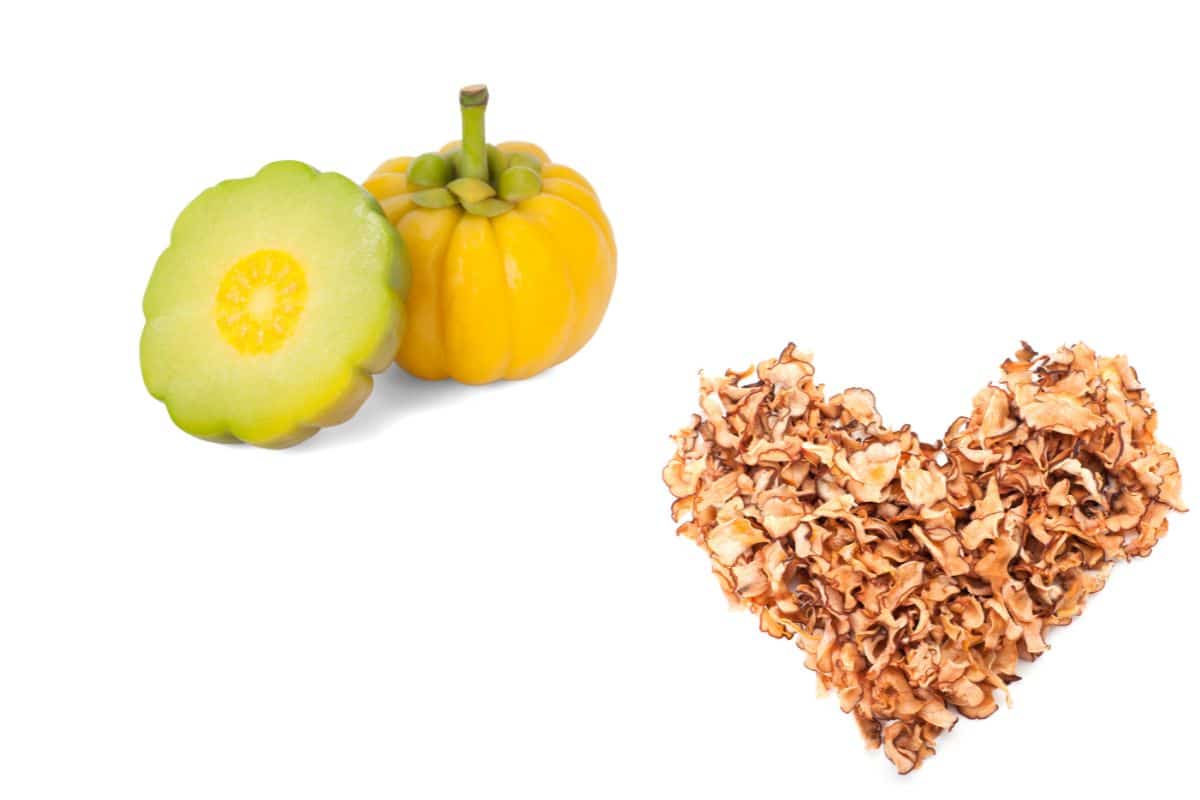 Garcinia Cambogia: o que é, benefícios e como tomar 2 Garicinia cambogia