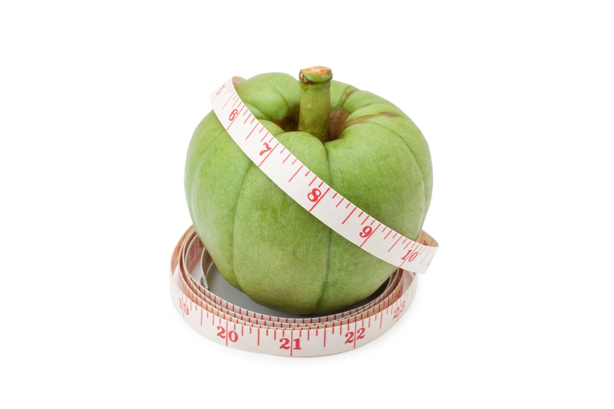 Garcinia Cambogia: o que é, benefícios e como tomar 1 garcinia cambogia
