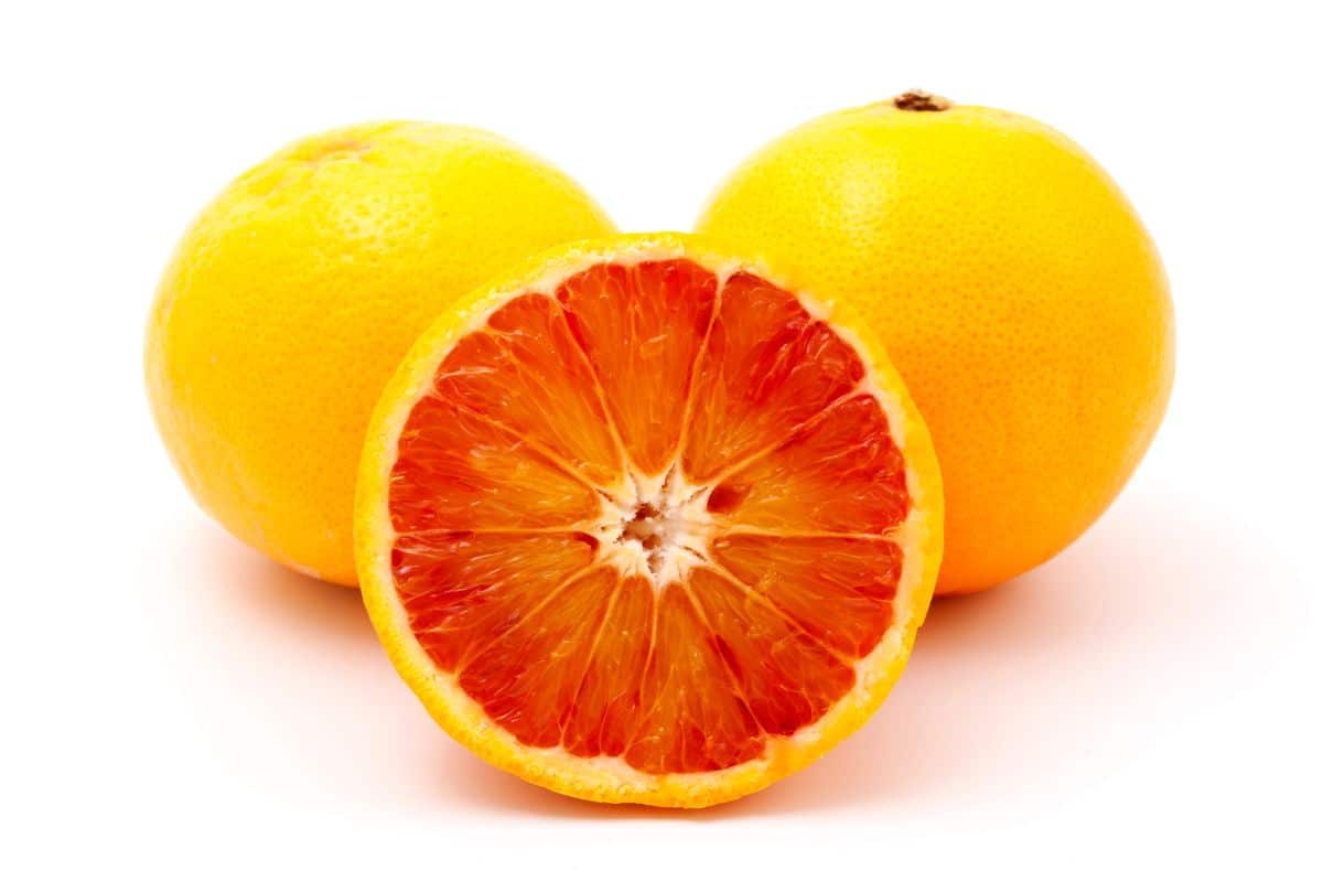 Laranja Moro ou morosil emagrece mesmo? Descubra agora os efeitos 2 laranja moro