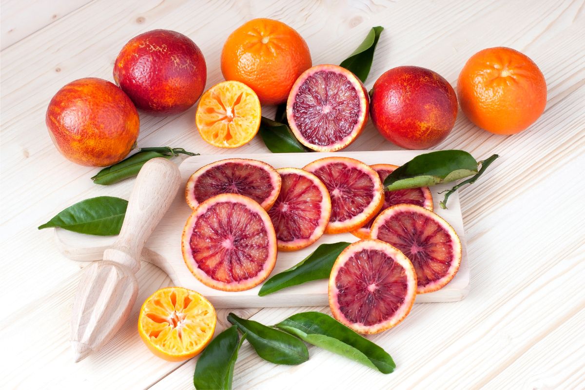 Laranja Moro ou morosil emagrece mesmo? Descubra agora os efeitos 1 laranja moro ou morosil