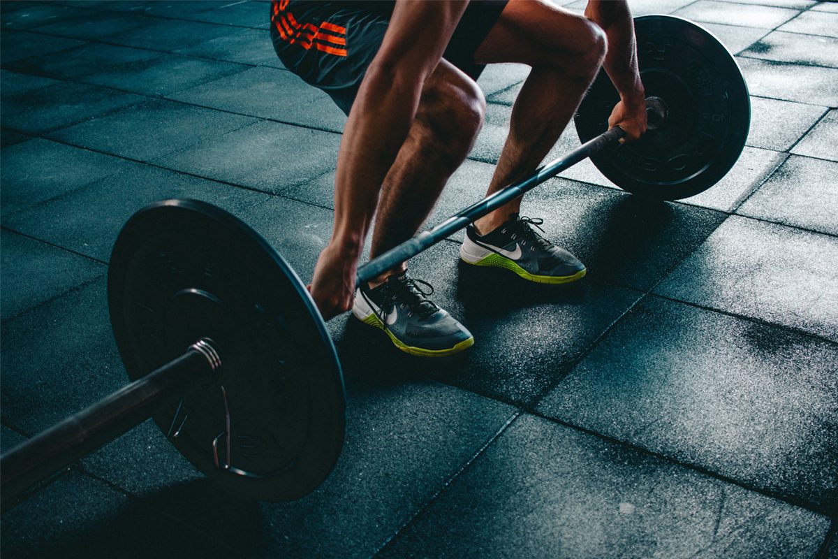 Como funciona a memória muscular? 1 memória muscular