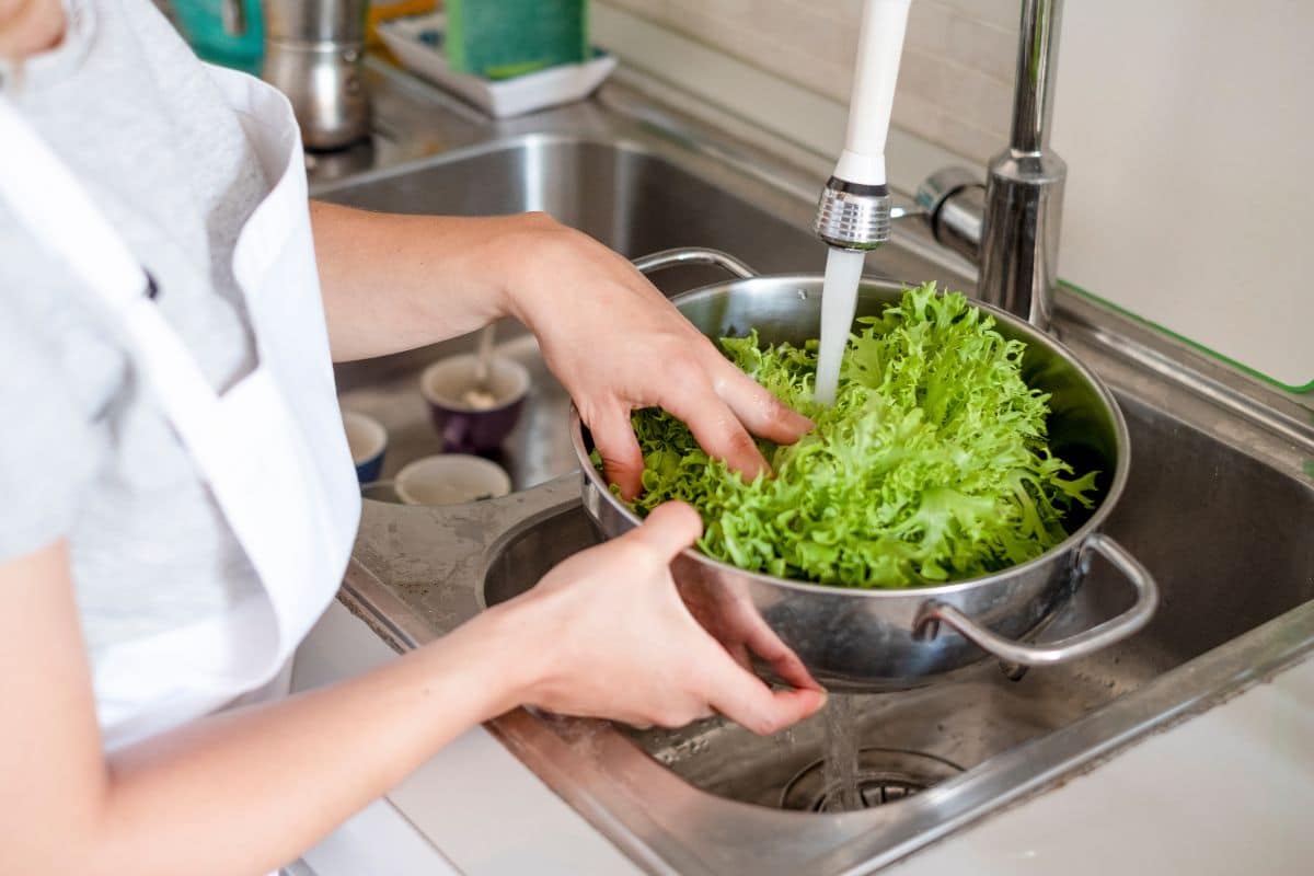 Higienizar verduras com bicarbonato elimina agrotóxico? Aprenda como fazer da maneira correta 1 Higienizar verduras