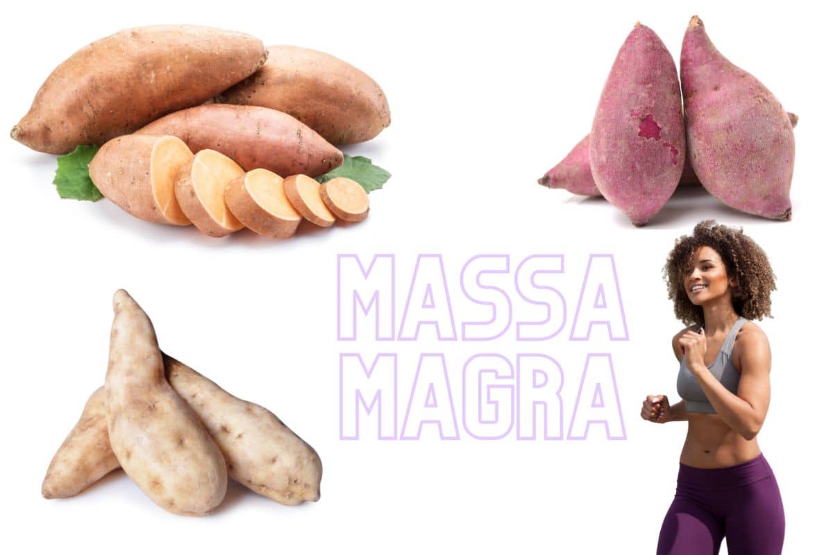 Batata doce é bom para ganhar massa magra? Não fique sem saber dos benefícios 1 tipos de batata doce