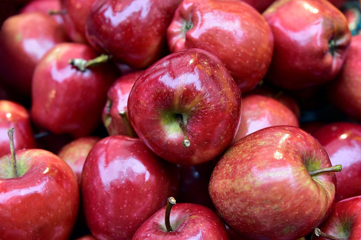 Como higienizar maçã corretamente? Evite erros nos cuidados essenciais com suas frutas 2 Como higienizar maçã corretamente? Evite erros nos cuidados essenciais com suas frutas