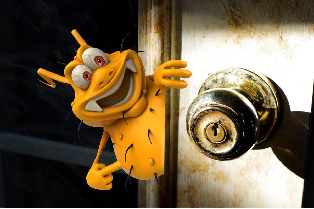 Como higienizar maçanetas e outras peças da casa no dia a dia; aprenda hoje 1 como higienizar maçanetas de portas