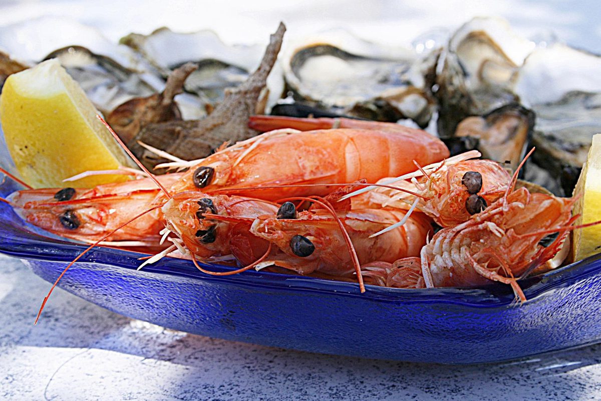 Como fazer para escolher frutos do mar e NÃO colocar a saúde em risco 2 prato de frutos do mar