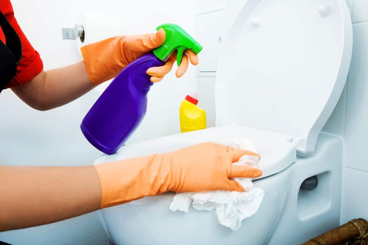 Como higienizar o banheiro para evitar problemas de saúde? Você precisa saber hoje 2 higienizar banheiro e vaso sanitário