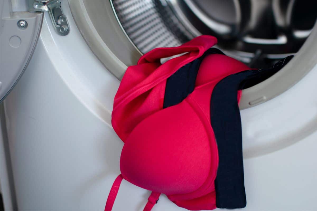 Precisa higienizar roupas íntimas corretamente? Aprenda o passo a passo seguro 2 lavar sutiã e outras roupas íntimas