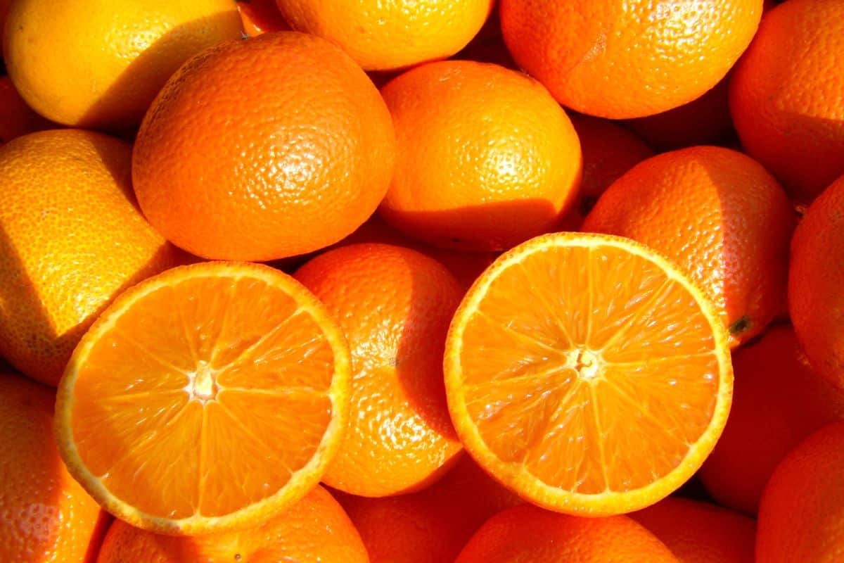 Qual laranja tem mais vitamina C? Essa é sua chance para aumentar a imunidade 1 laranja pera