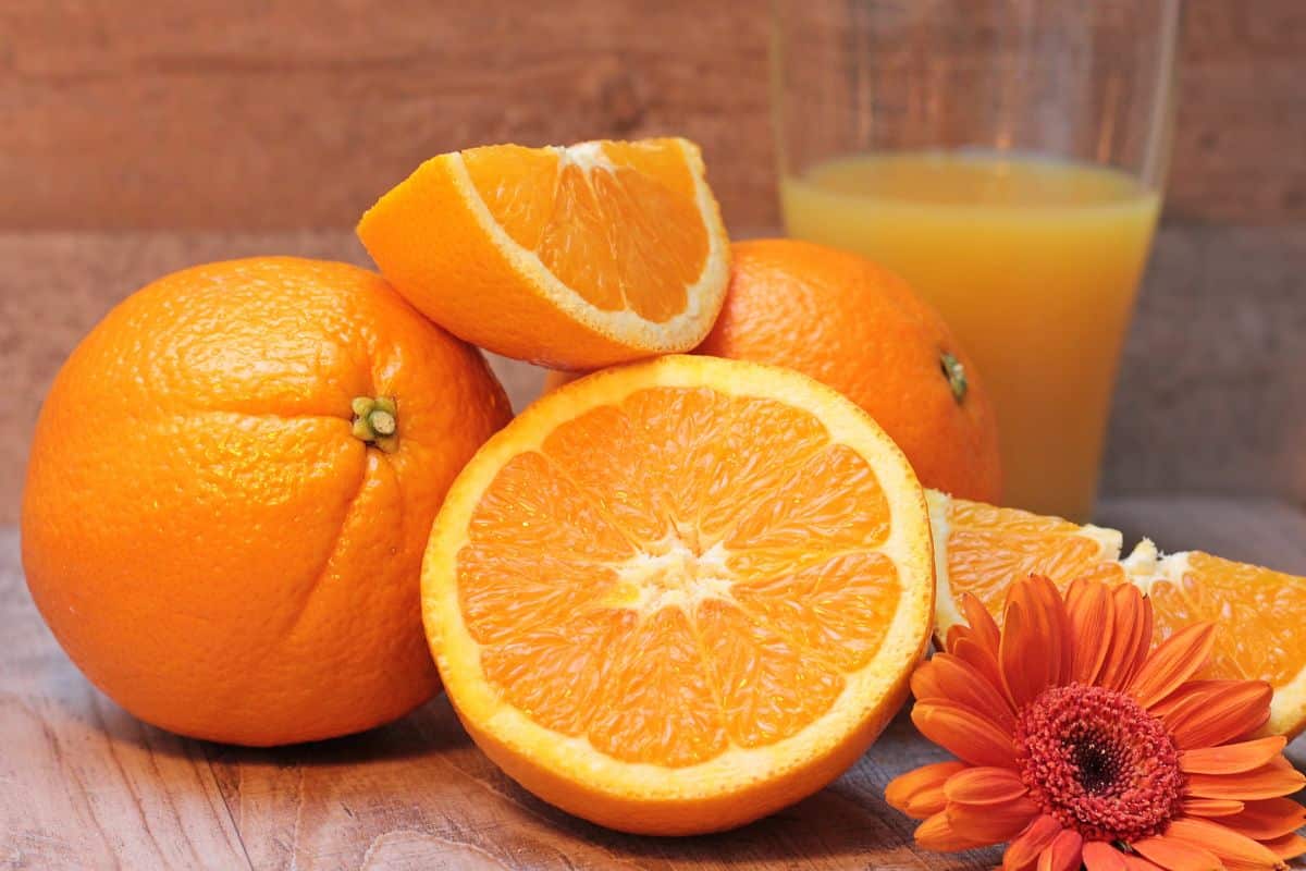 Qual laranja tem mais vitamina C? Essa é sua chance para aumentar a imunidade 2 laranja