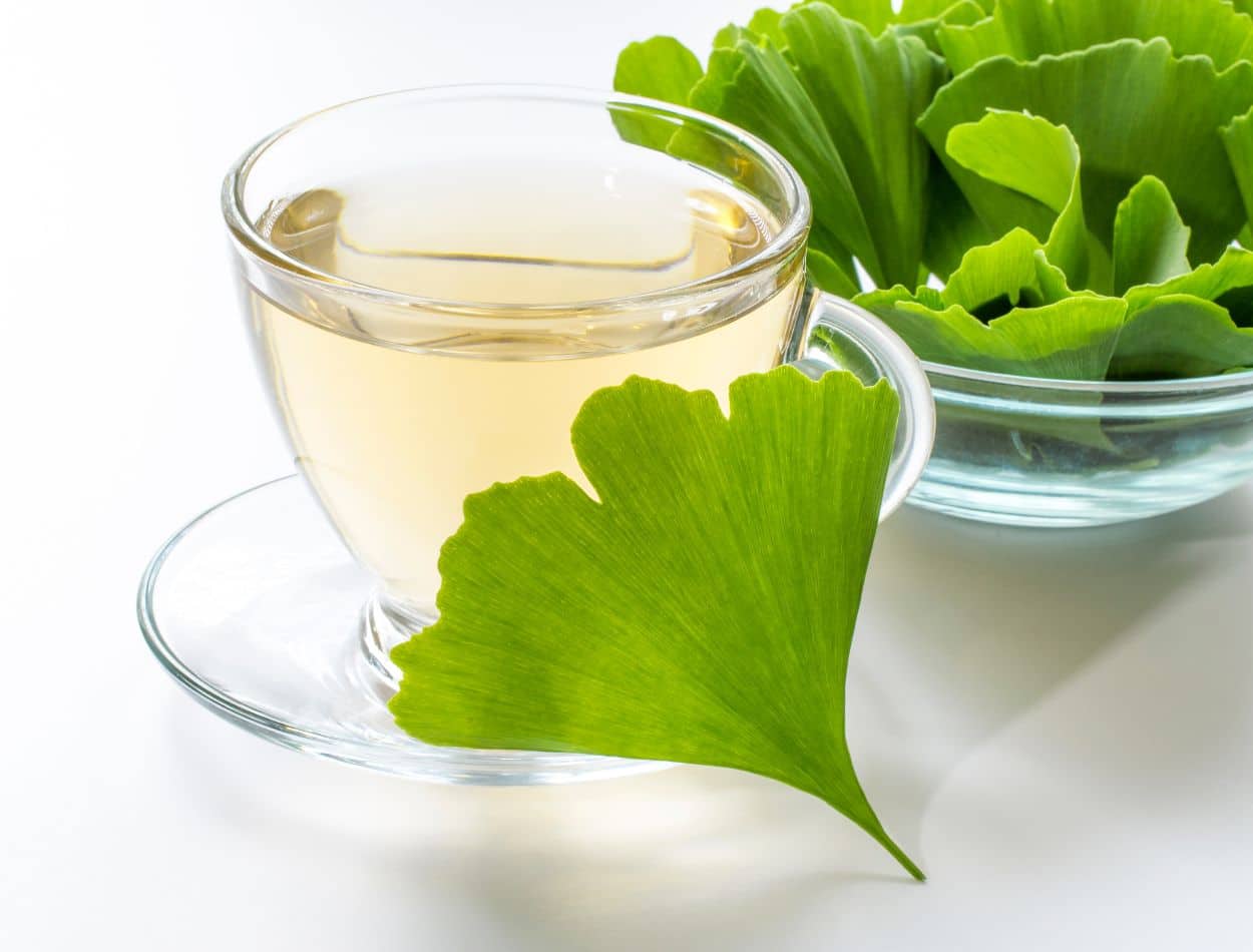 Chá de Ginkgo Biloba: a bebida ideal para o bom funcionamento do cérebro 1 Chá de Ginko Biloba