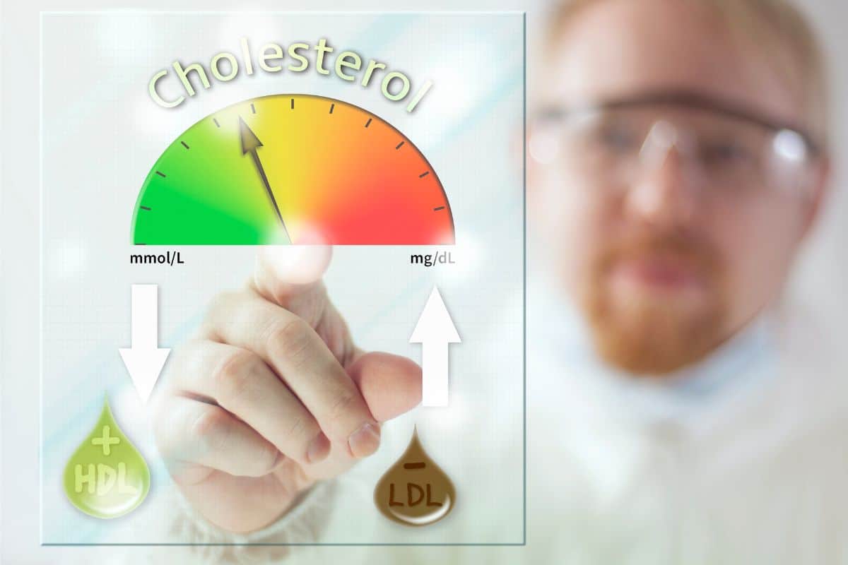 O que colesterol alto pode causar no corpo? Saiba como derrotar esse vilão 1 colesterol alto pode causar doenças