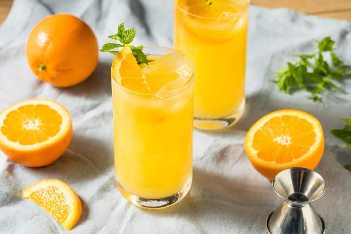 Refrigerante caseiro de laranja: faça essa delícia refrescante e saudável para os dias quentes 2 Refrigerante Caseiro de Laranja: uma delícia refrescante e saudável para os dias quentes; saiba fazer