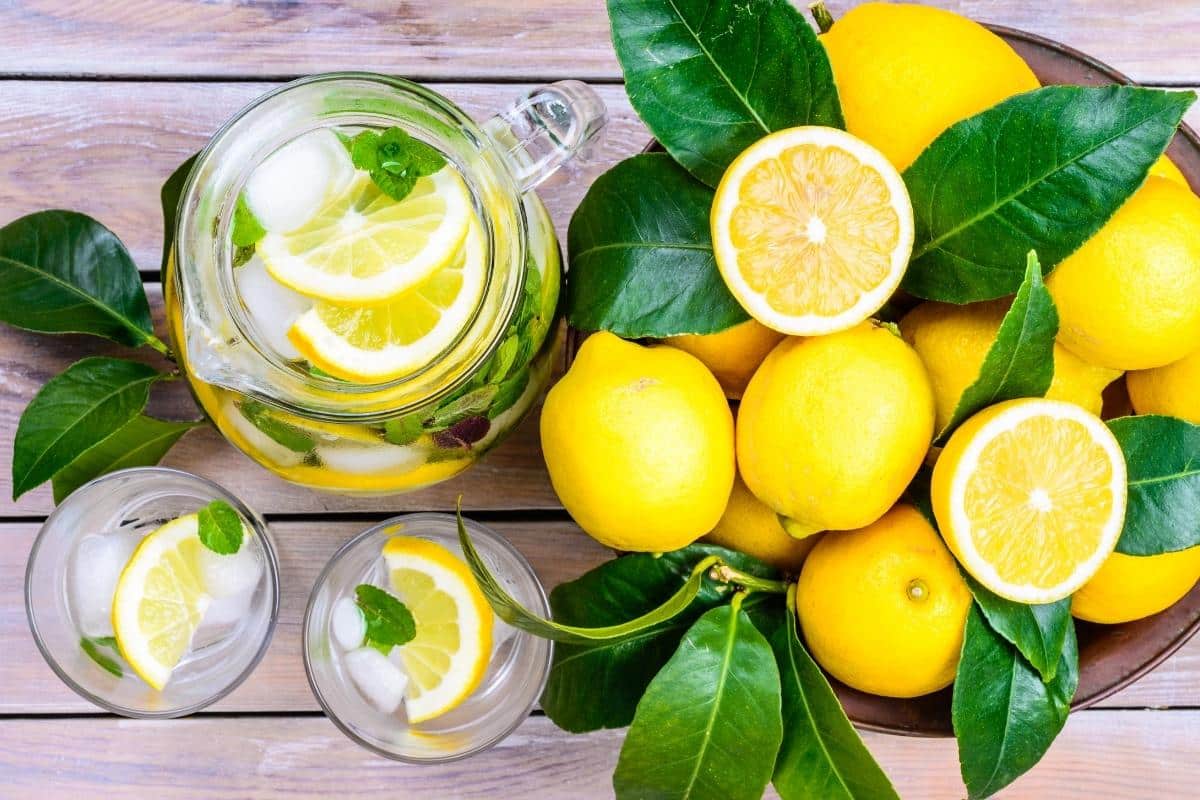 Refrigerante caseiro de limão: prepare essa versão saborosa, leve e com menos açúcar 2 Refrigerante caseiro de limão: prepare essa versão saborosa, leve e com menos açúcar