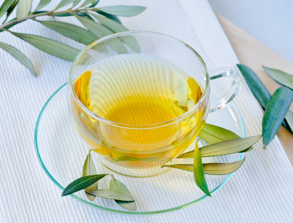Chá de Oliveira: você sabe para que serve? Confira agora! 1 Xícara de chá feito com folhas de oliveiras.