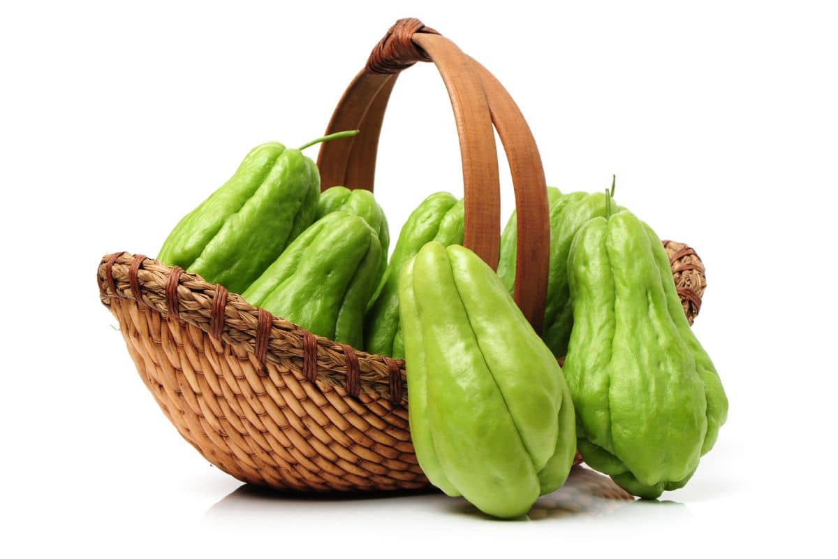 Como escolher chuchu fresco e saudável na hora de comprar? 1 cesta de chuchu fresco