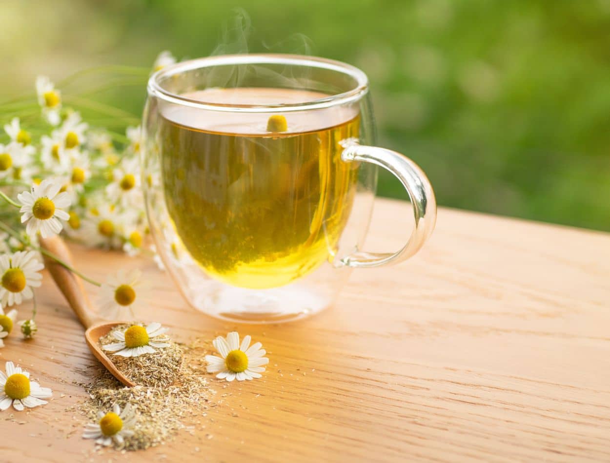 Veja como cultivar camomila em casa e tenha o chá perfeito para seu bem-estar 1 Cultivar camomila para fazer um bom chá.