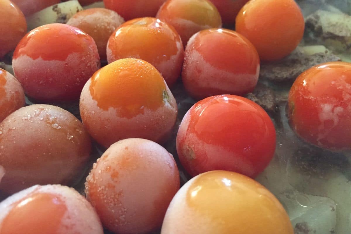 Qual a maneira correta de descongelar os alimentos antes do preparo? Veja os principais erros 1 como descongelar alimentos