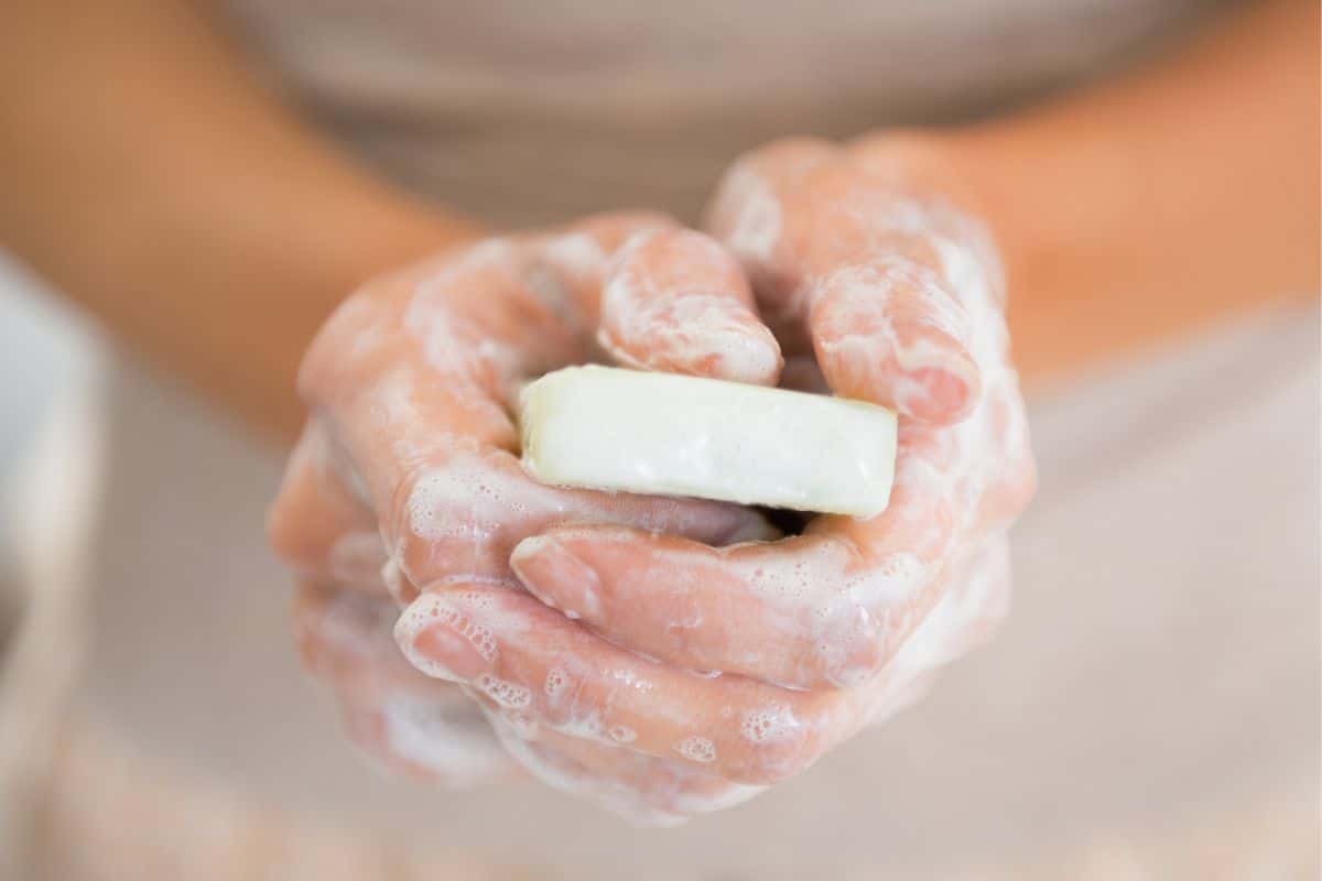 Tem alergia ao sabão em pó? Conheça produtos naturais para substituir no dia a dia 2 sabão de coco não dá alergia