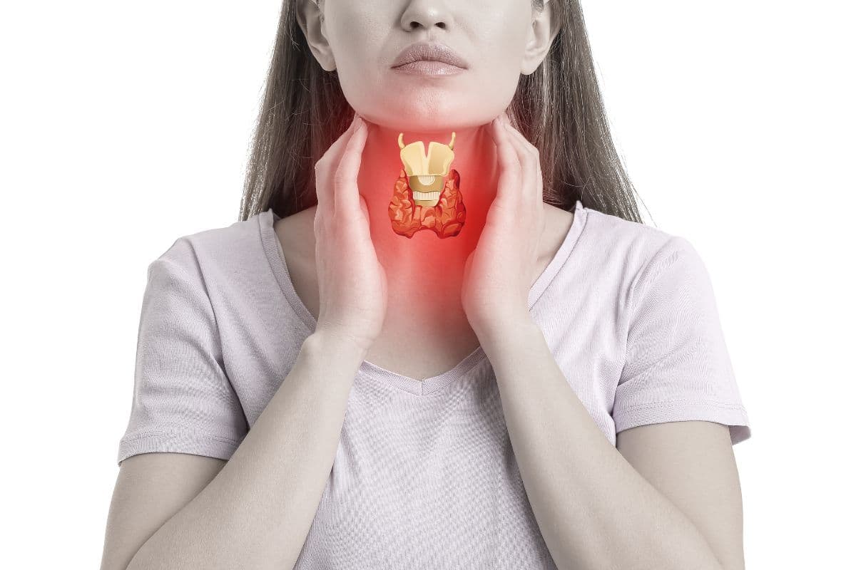Quais os sintomas de problemas na tireoide? Saiba como o corpo alerta e aja rápido 2 sintomas de problemas na tireoide