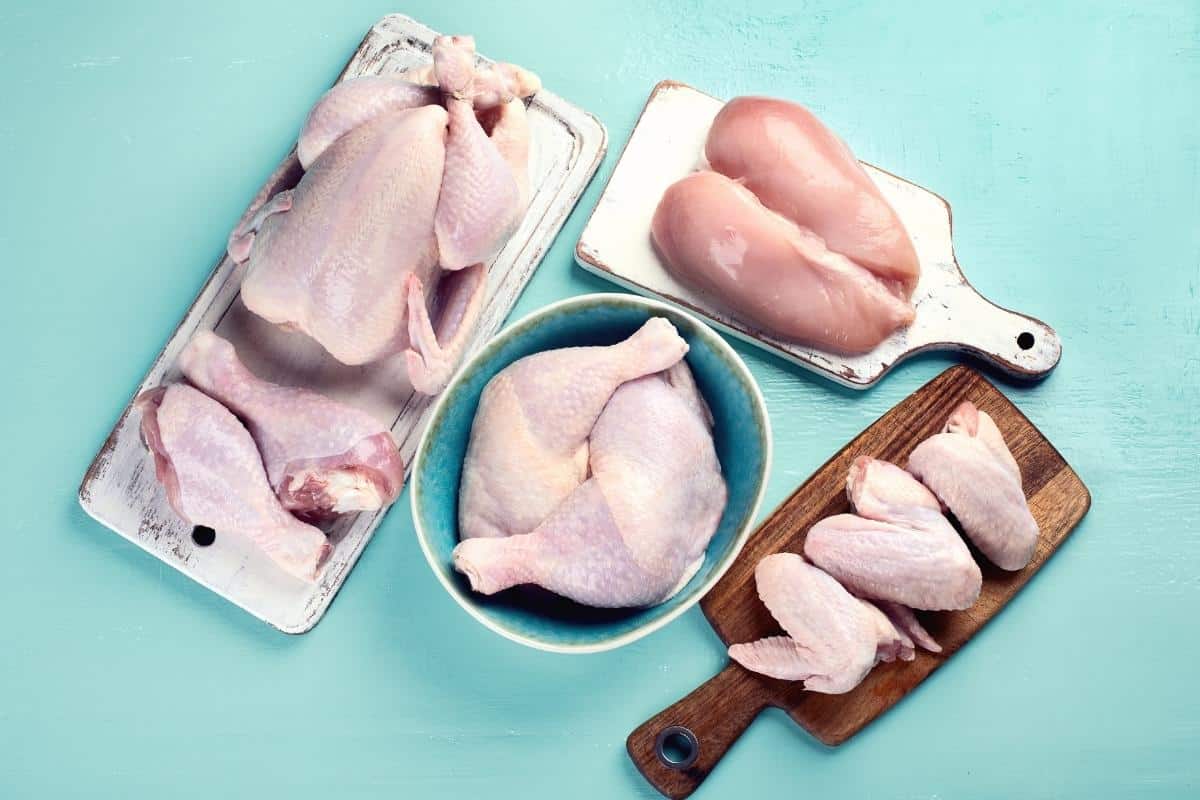 Como saber se o frango está estragado? Tire suas dúvidas 1 Como saber se o frango está estragado? Qual a maneira correta de conservar? Confira agora mesmo