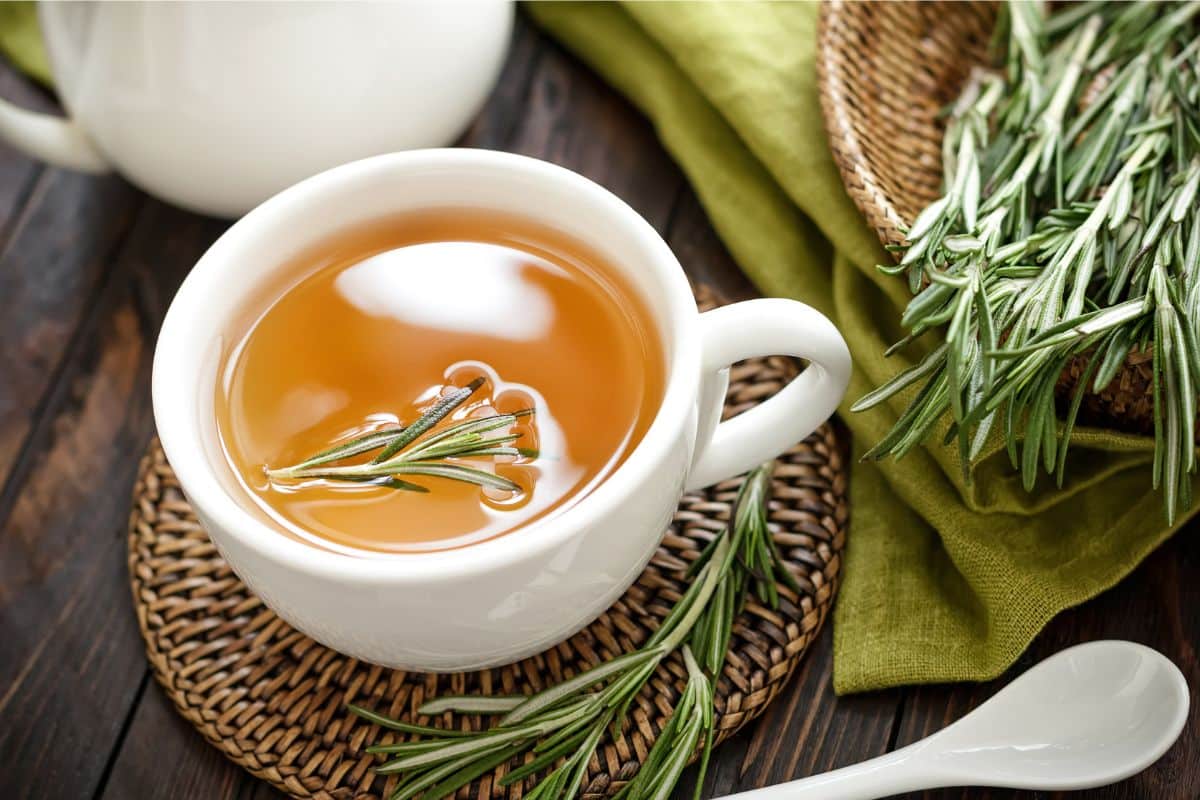 Veja como é fácil cultivar alecrim em casa e aproveite os benefícios em sua saúde 2 cultivar alecrim e fazer chá