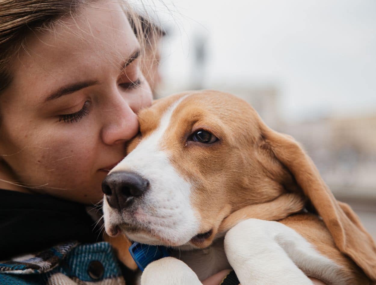 O apego emocional e as implicações psicológicas com a perda de um pet 2 O apego emocional e as implicações psicológicas com a perda de um pet