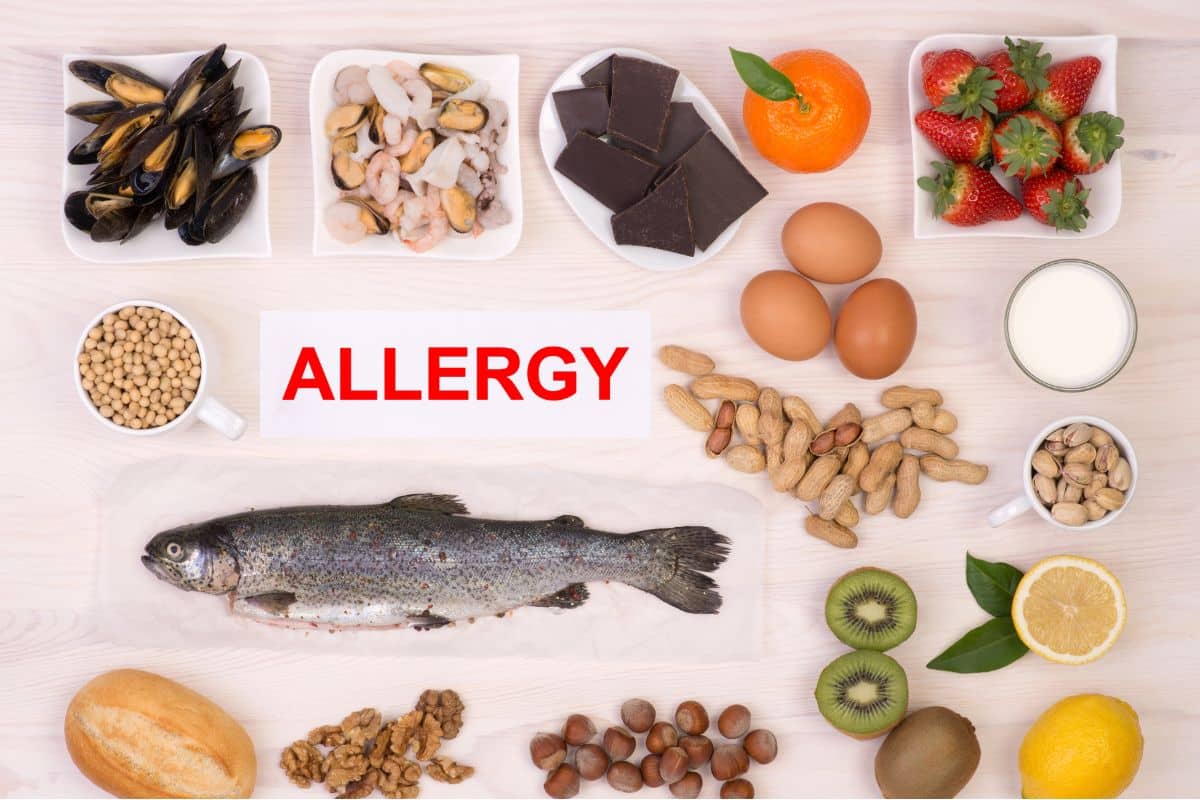 5 sintomas da alergia alimentar: saiba os mais comuns para agir rapidamente 2 alimentos causadores de alergia alimentar