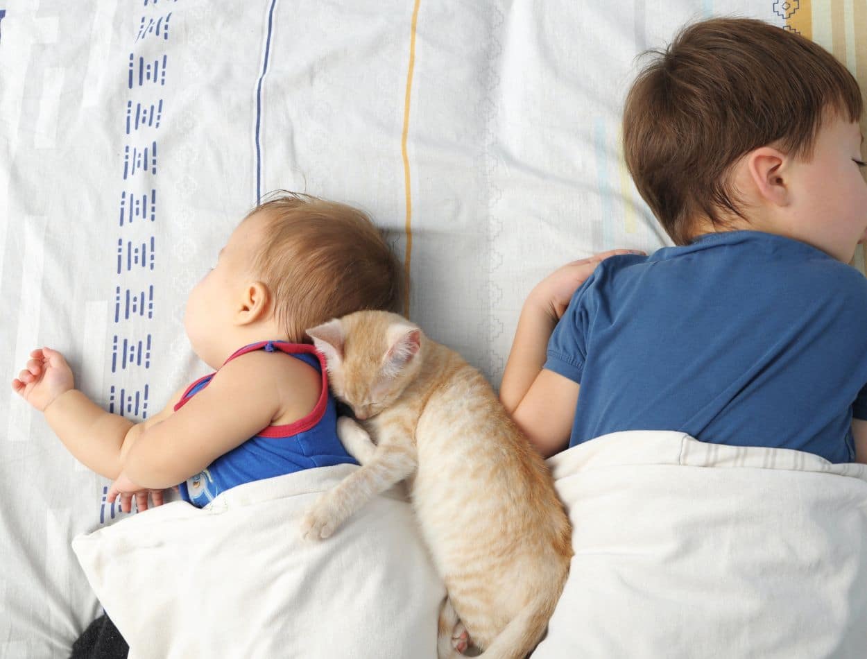 Crianças precisam de quantas horas de sono? Saiba mais sobre hábitos saudáveis na infância 1 Crianças precisam de quantas horas de sono