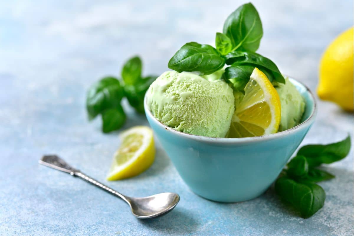 03 receitas de sorvete vegano saudável: saiba como fazer para refrescar o calor 2 sorvete vegano saudável de limão