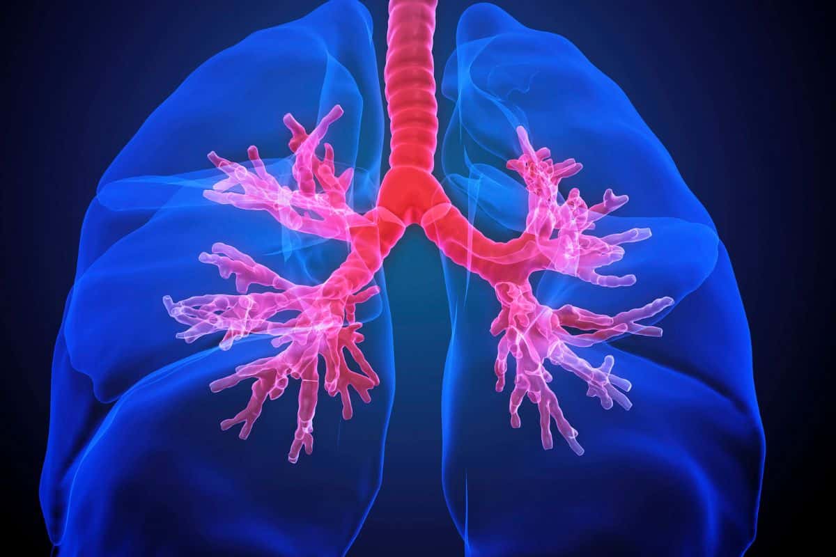 O que causa bronquiolite? Quando é preocupante? Entenda 2 O que causa bronqueolite