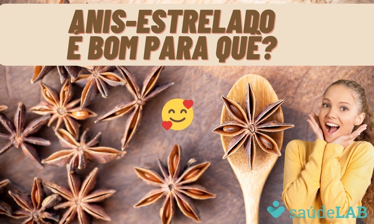 Anis-estrelado: conheça os benefícios, como usar e seus efeitos colaterais 1 frutos de anis estrelado