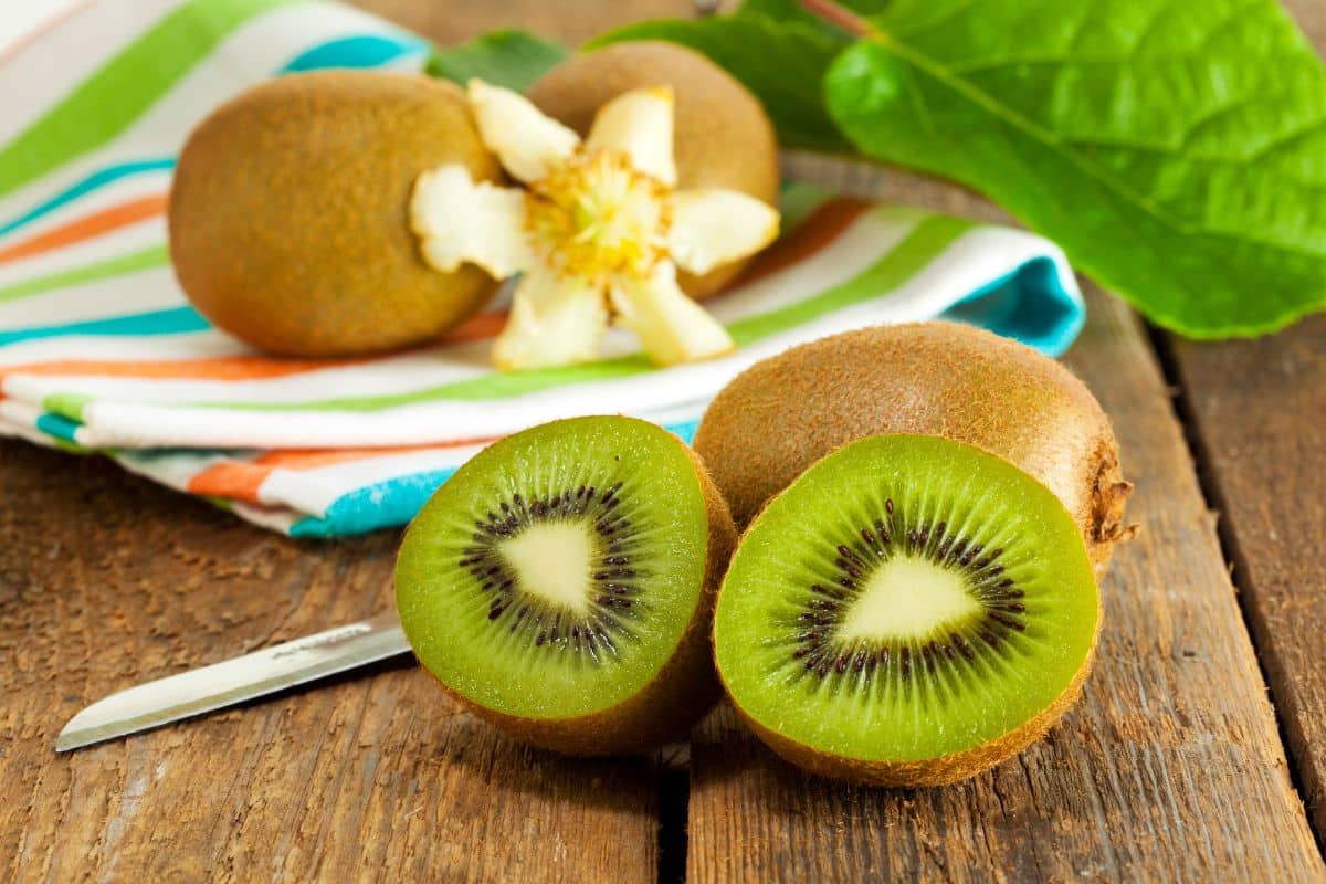 Kiwi: conheça 7 benefícios desta fruta incrível 1 benefícios do kiwi