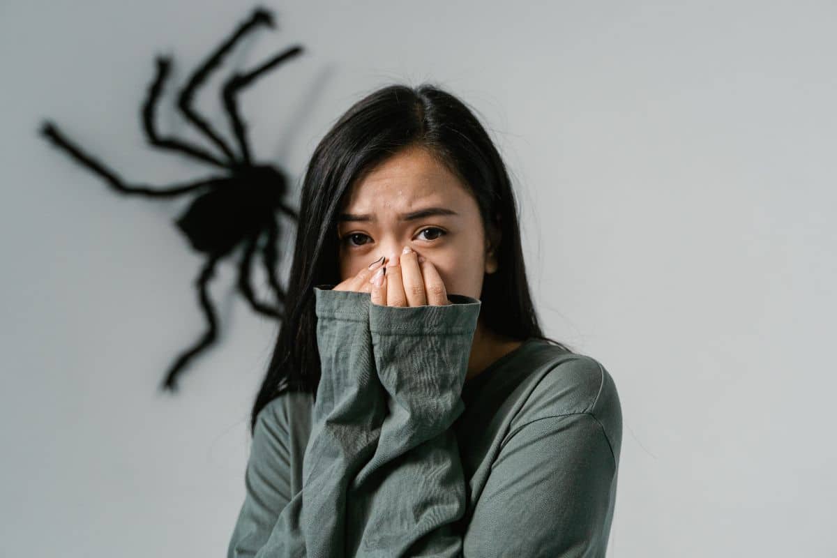 As 10 fobias mais comuns do mundo que você precisa conhecer 1 fobias de aranha